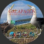 Galapagos_28seaguls29.jpg