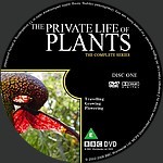 Filename=Part_7_-_The_Private_Life_Of_Plants_Label_1.jpg
Filesize=636KiB
Dimensions=1500x1500
Date added=Apr 10, 2015 Part_7_-_The_Private_Life_Of_Plants_Label_1.jpg