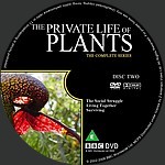 Filename=Part_7_-_The_Private_Life_Of_Plants_Label_2.jpg
Filesize=640KiB
Dimensions=1500x1500
Date added=Apr 10, 2015 Part_7_-_The_Private_Life_Of_Plants_Label_2.jpg