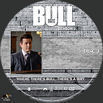 Bull_S3D3.jpg