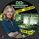 CSI-S13D2.jpg