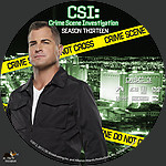 CSI-S13D3.jpg