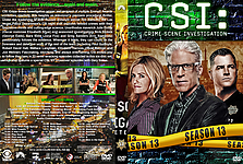 CSI_S13s.jpg