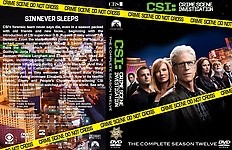 CSI_Season_12_v2.jpg