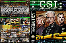 CSI_lg-S13.jpg