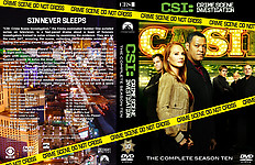 CSI_season_10.jpg
