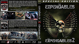 Expendables_Double_v2_28BR29.jpg