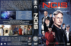 NCIS-S12-lg.jpg