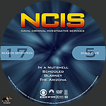 NCIS_S17D5.jpg