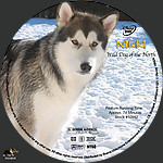 Nikki_28196129_CUSTOM-cd.jpg