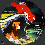 The_Fox_and_the_Hound__28198129_CUSTOM_v1.jpg