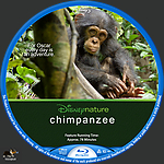chimpanzee__BR_.jpg