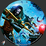 Aquaman_and_the_Lost_Kingdom_DVD_v10.jpg