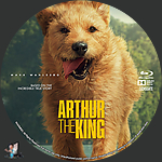 Arthur_the_King_BD_v6.jpg