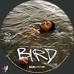 Bird_4K_BD_v1.jpg