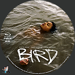 Bird_BD_v1.jpg