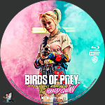 Birds_of_Prey_and_the_Fantabulous_Emancipation_of_One_Harley_Quinn_4K_BD_v10.jpg