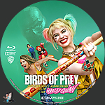Birds_of_Prey_and_the_Fantabulous_Emancipation_of_One_Harley_Quinn_4K_BD_v2.jpg