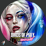 Birds_of_Prey_and_the_Fantabulous_Emancipation_of_One_Harley_Quinn_4K_BD_v9.jpg