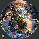 Black_Panther_Wakanda_Forever_3D_BD_v7.jpg