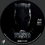 Black_Panther_Wakanda_Forever_4K_BD_v1.jpg