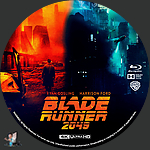 Blade_Runner_2049_4K_BD_v1.jpg
