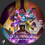 Eyes_of_Wakanda___Season_1_4K_BD_v1.jpg