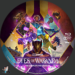 Eyes_of_Wakanda___Season_1_BD_v1.jpg