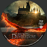 Fantastic_Beasts_The_Secrets_Of_Dumbledore_BD_v1.jpg