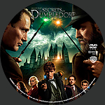 Fantastic_Beasts_The_Secrets_Of_Dumbledore_DVD_v4.jpg