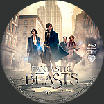Fantastic_Beasts_and_Where_to_Find_THem_3D_BD_v3.jpg