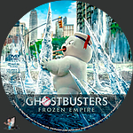 Ghostbusters_Frozen_Empire_DVD_v11.jpg