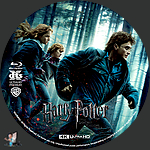 Harry_Potter_and_the_Deathly_Hallows_Part_I_4K_BD_v1.jpg