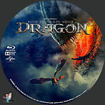 How_To_Train_Your_Dragon_BD_v2.jpg