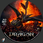 How_To_Train_Your_Dragon_BD_v4.jpg