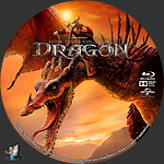 How_To_Train_Your_Dragon_BD_v5.jpg