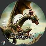 How_to_Train_Your_Dragon_4K_BD_v9.jpg