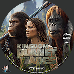 Kingdom_of_the_Planet_of_the_Apes_4K_BD_v6.jpg