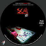 Scar_3D_BD_v2~0.jpg