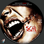 Scar_3D_BD_v3~0.jpg