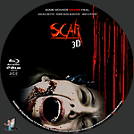 Scar_3D_BD_v4~0.jpg