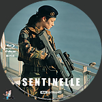 Sentinelle_4K_BD_v3.jpg