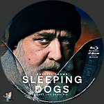 Sleeping_Dogs_BD_v4.jpg