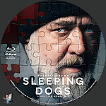 Sleeping_Dogs_BD_v5.jpg