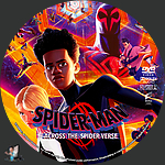Spider_Man_Across_the_Spider_Verse_DVD_v2.jpg