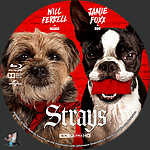 Strays_4K_BD_v1.jpg