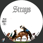 Strays_4K_BD_v3.jpg