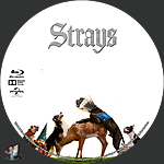 Filename=Strays_BD_v3.jpg
Filesize=723KiB
Dimensions=1500x1500
Date added=Sep 06, 2023 Strays_BD_v3.jpg