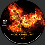 The_Hunger_Games_Mockingjay_Part_2_3D_BD_v2.jpg