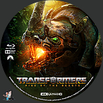 Transformers_Rise_of_the_Beasts_4K_BD_v11.jpg